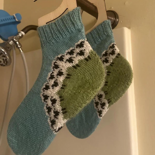 1772622379365.png 1772622379365.png