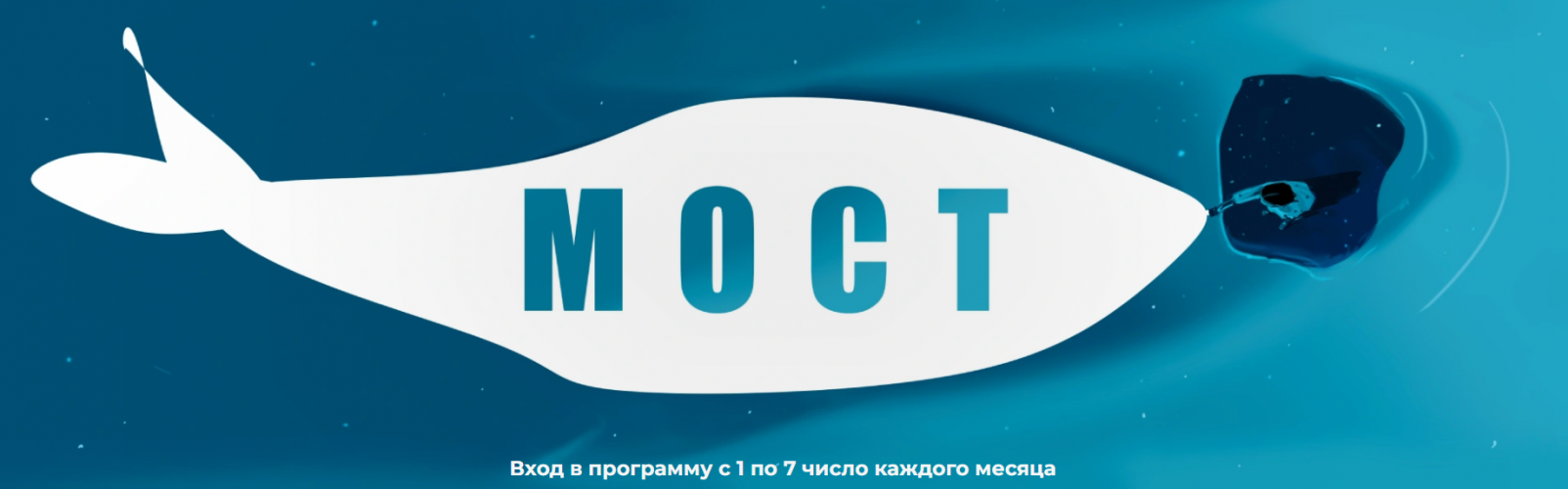 1772622588741.png 1772622588741.png