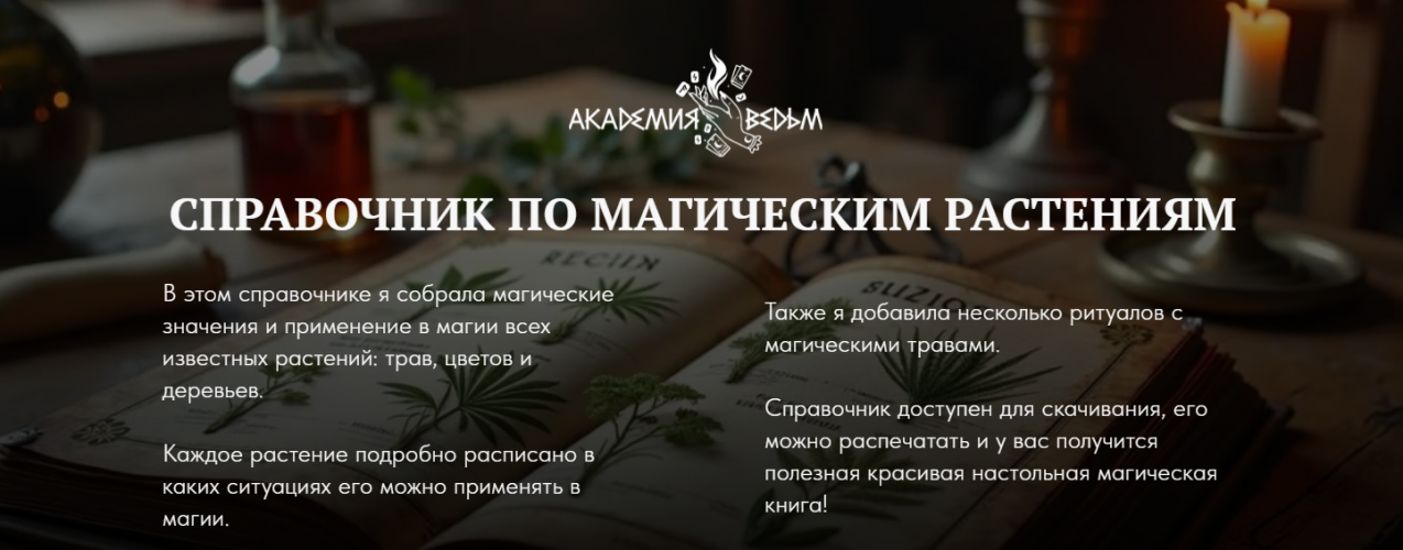 1772624190080.png 1772624190080.png