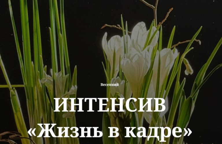 1775577805868.png 1775577805868.png