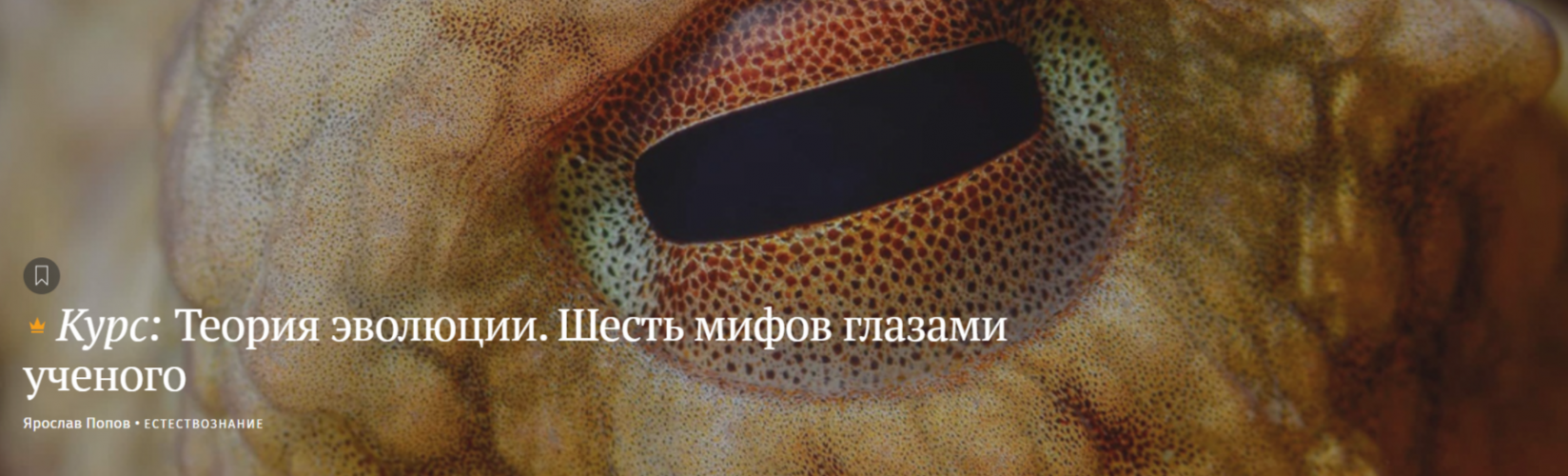 1778476791966.png