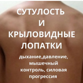 1781800933554.png 1781800933554.png