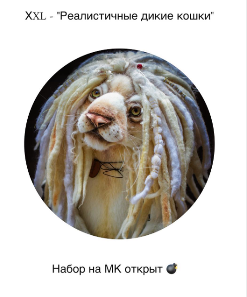 1784026753891.png 1784026753891.png