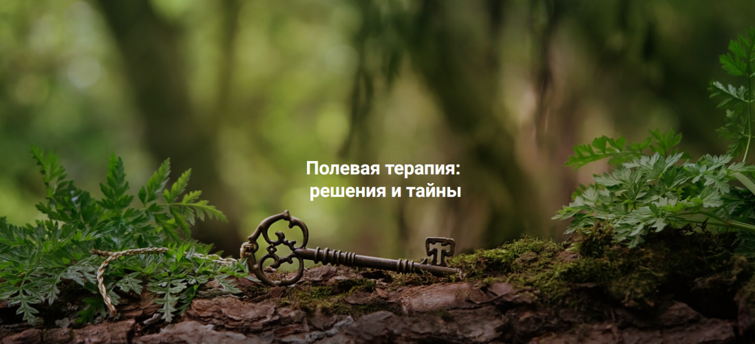 1784910000539.png