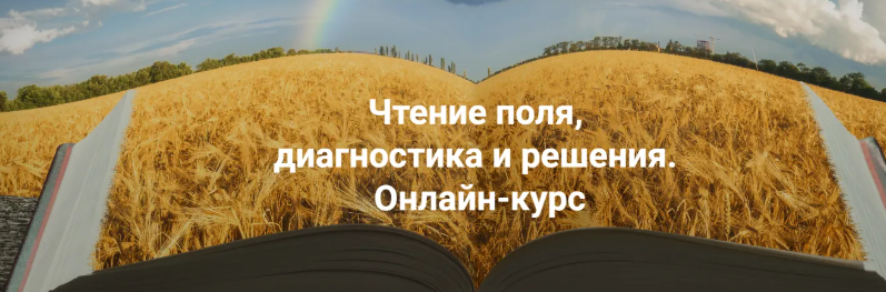 1784912036642.png