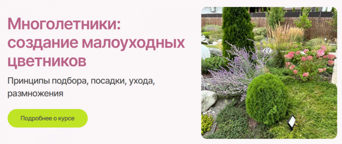 1785177949949.png