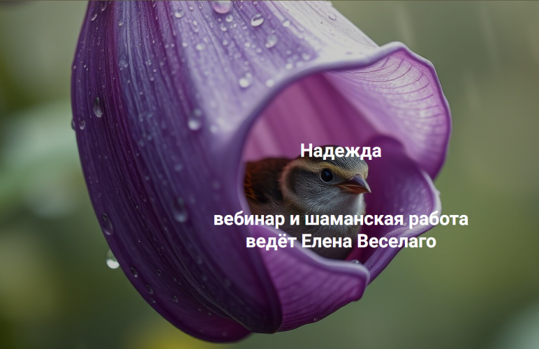 1785428746768.png