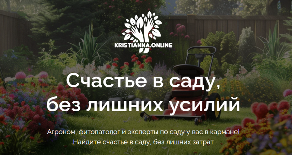 1785517314695.png