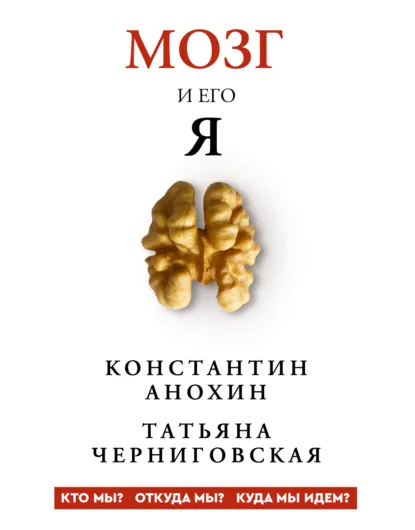 1786044370985.png 1786044370985.png