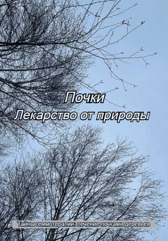 1787419734336.png