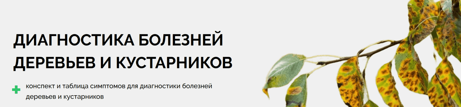 1787756854371.png