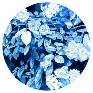 Rovector