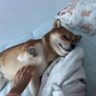 kodein